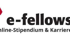 Logo von e-fellows.net