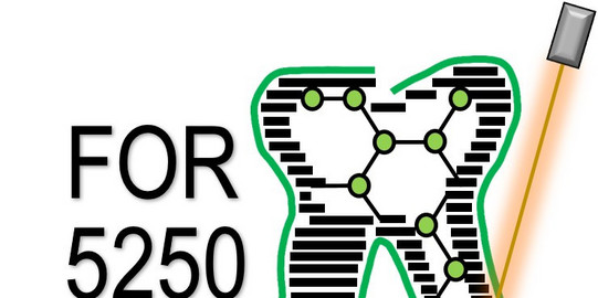 Logo FOR 5250